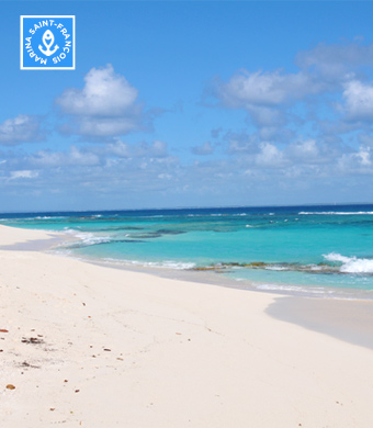 Plage à Petite Terre