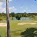 green golf saint francois guadeloupe